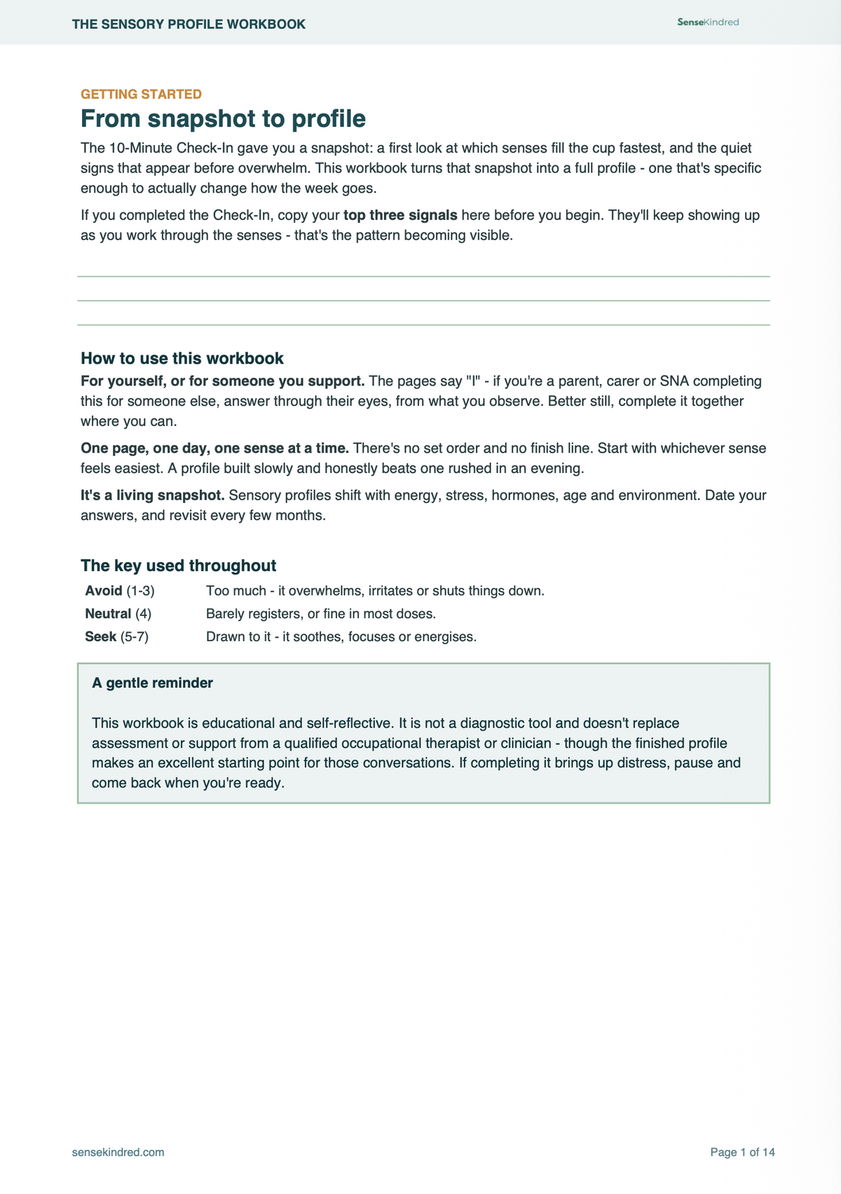 The Sensory Profile Workbook