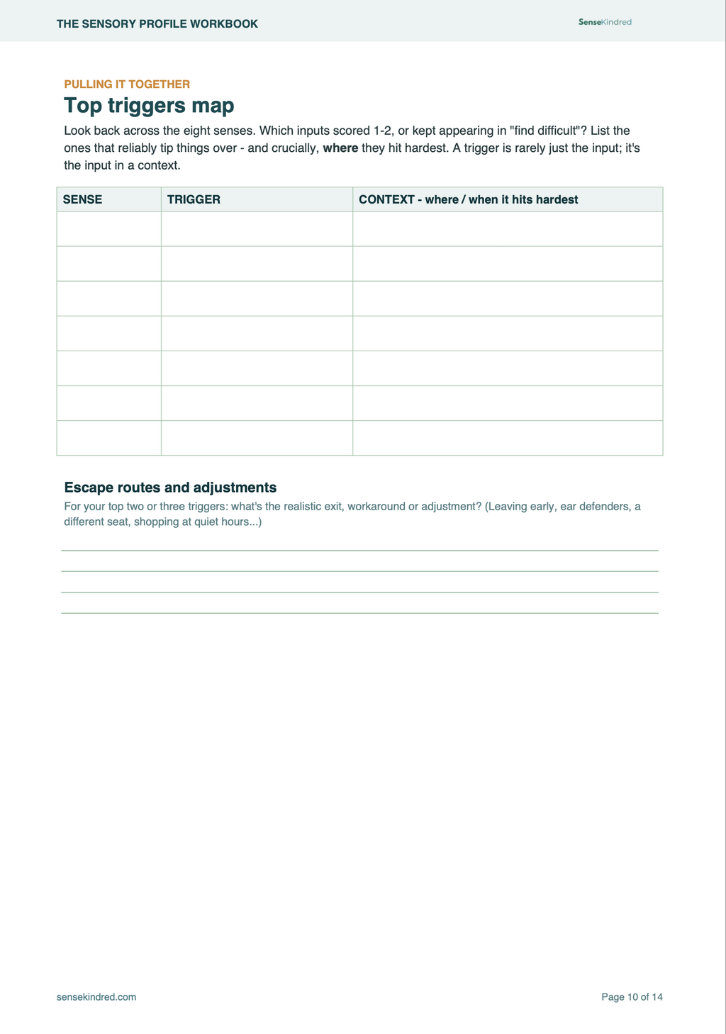 The Sensory Profile Workbook