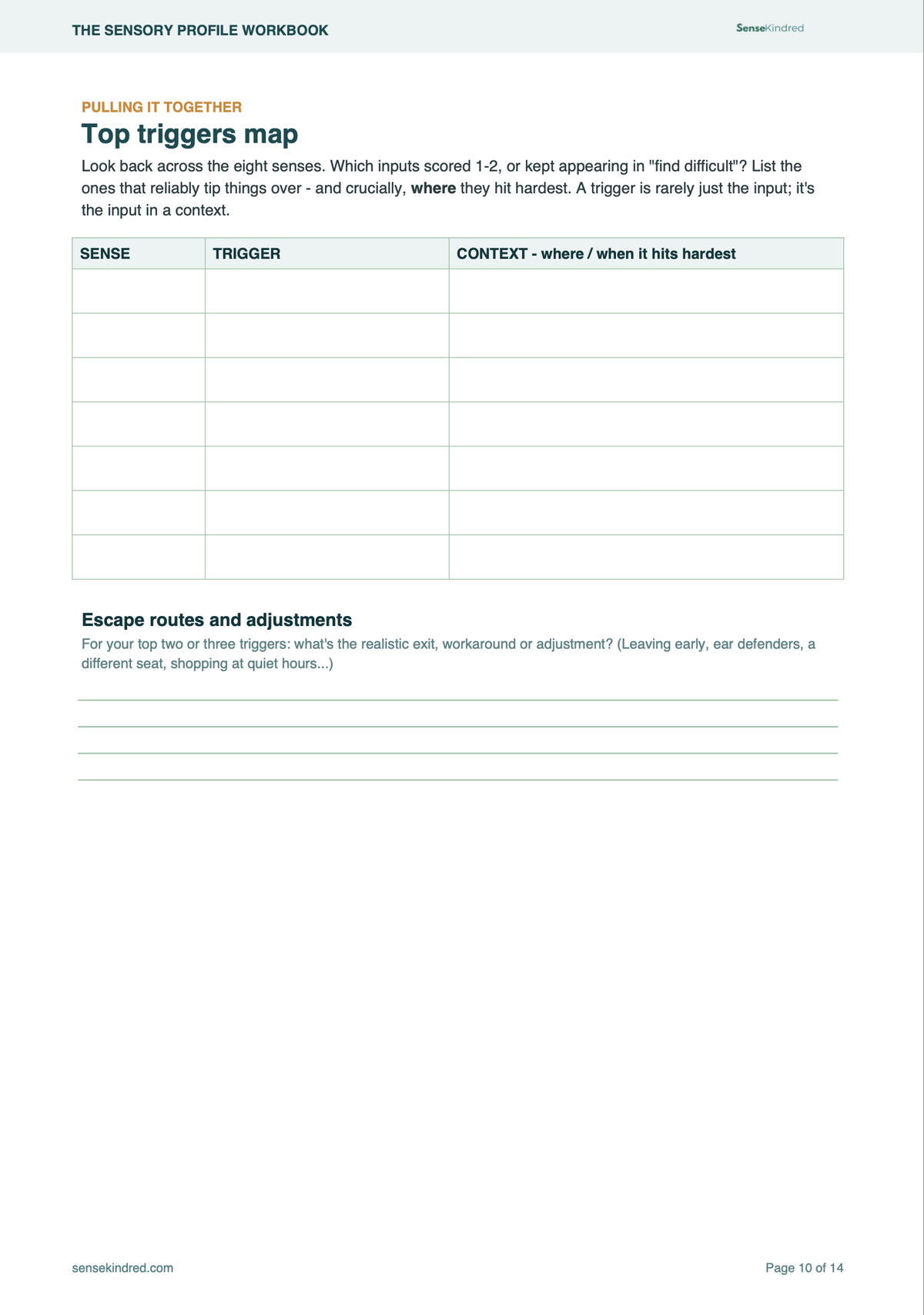 The Sensory Profile Workbook